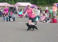 /album/luca/a11774395-10207053342910258-309680173-n-1-jpg/